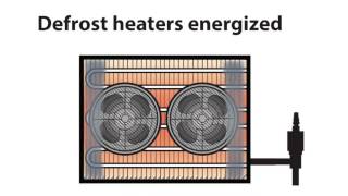 Video 034   Iced Evaporator Coil on Walk in Freezer (FAQ Walkin Coolers, Walk in Freezers)