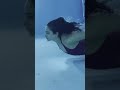 Nothing Like The Underwater Rakulpreet Singh
