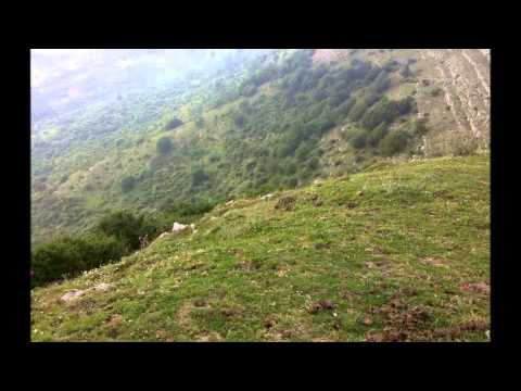 ...angelci PASSIONI...