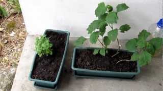 Self-Help for Depression