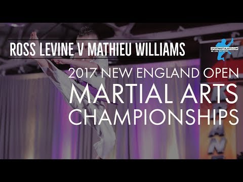 Ross Levine v Mathieu Williams | 2017 New England Open | Mens Point Sparring Eliminations