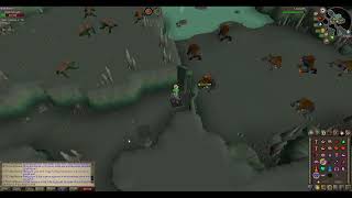 OSRS Basilisk Knight Safespot (No BS)