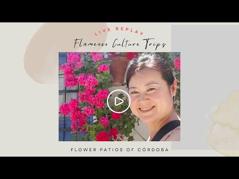 Flower Patios of Córdoba, Colours of Andalusia, Spain