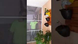 Porta de Tela Mosquiteira de Correr Feita Sob Medida em SP