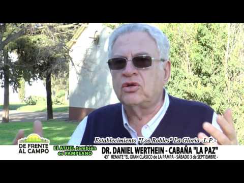 DE FRENTE AL CAMPO junto a CABAÑA "LA PAZ" -DANIEL WERTHEIN-