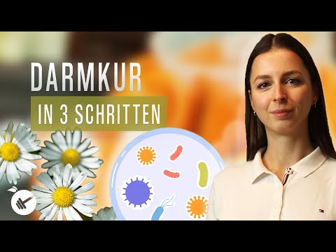 Darmkur in 3 Schritten: So reinigst und stärkst du deinen Darm