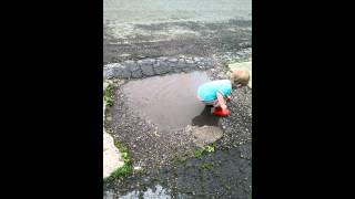 Henry puddle round 3