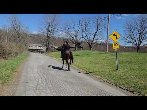 Udalco video 4