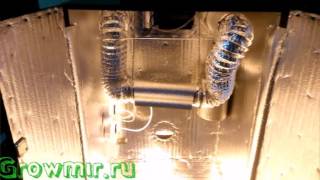 Комплименты 797 Комплименты 789