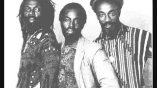 Culture - White belly rats