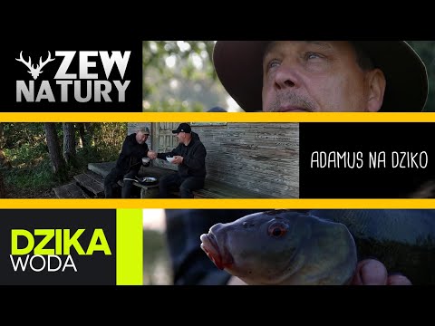 The Call returns with flavor 😋