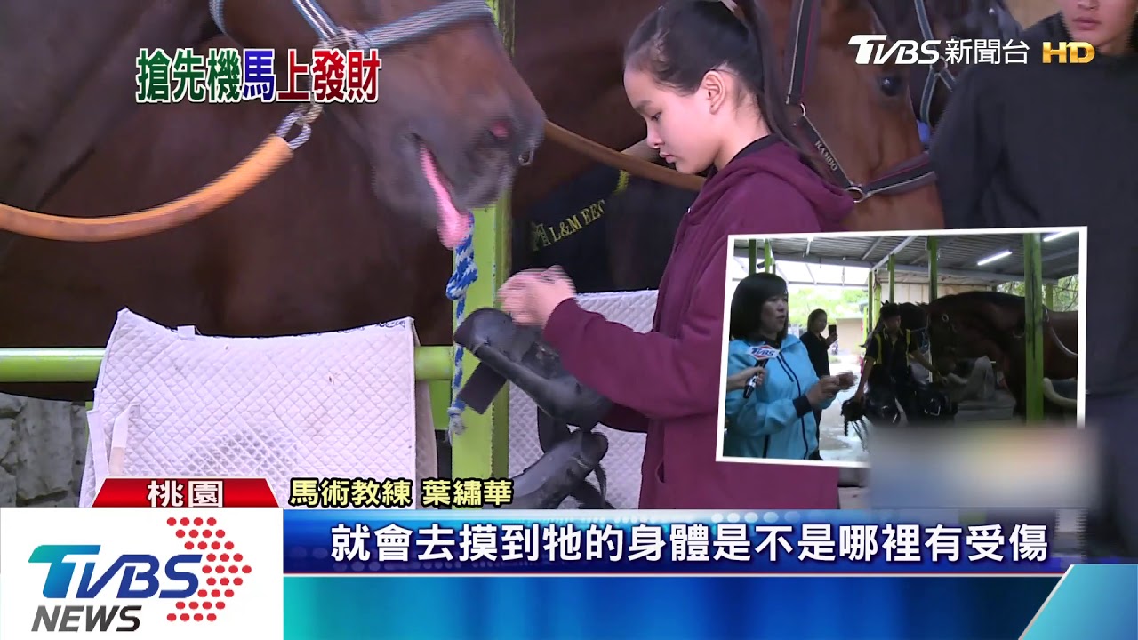 土地取得優勢! 桃園擁6座成「馬術之都」