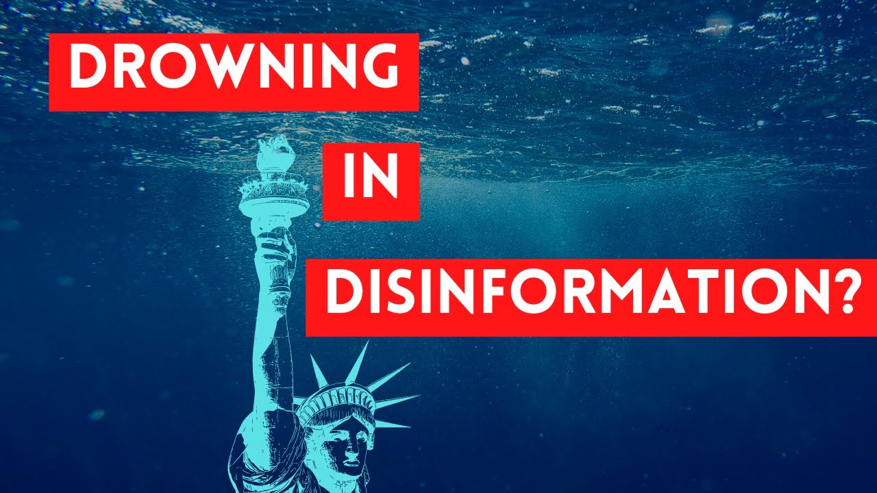 Does Disinformation Threaten Democracy?