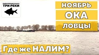 Ссылка