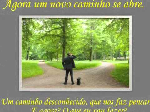 Aula da Saudade Nutrição 2011/2