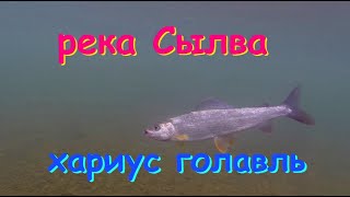 Рыбалка в перми на реке сылва