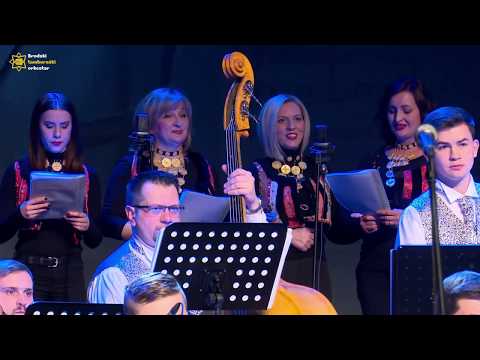 BRODSKI TAMBURAŠKI ORKESTAR & ŽVS PUDARICE -  Kad se slegnu vode na livade