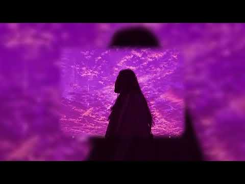 a playlist | Akon, Taylor Swift, Maroon 5, Selena Gomez, Rammstein,