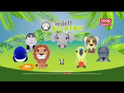 COOP akciós ajánlat - 2018. 01.24. szerdától