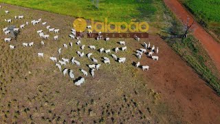 Tour virtual da propriedade