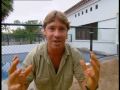 Crocodile S Of The Revolution Part 5
