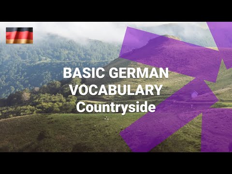 Basic German Vocabulary What Are the Numbers One to Ten in German