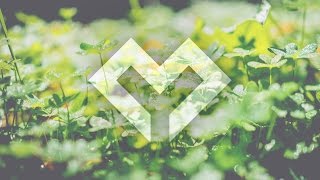 [LYRICS] Miro - The Garden of Imperfections (ft. Q'AILA) [Erio Remix]