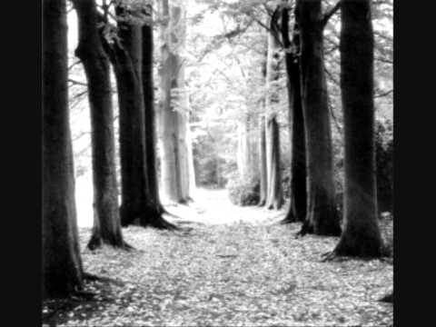 L'Âme Immortelle- Stern