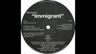 Nitin Sawhney - Immigrant (Truby Trio Remix)