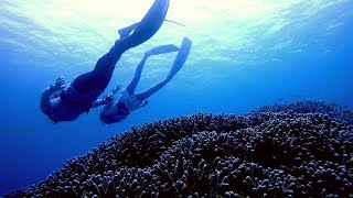 Recreational Freediving! It's coral forest! - Okinawa, Agenashiku, April 2015 (沖縄安慶名敷島)