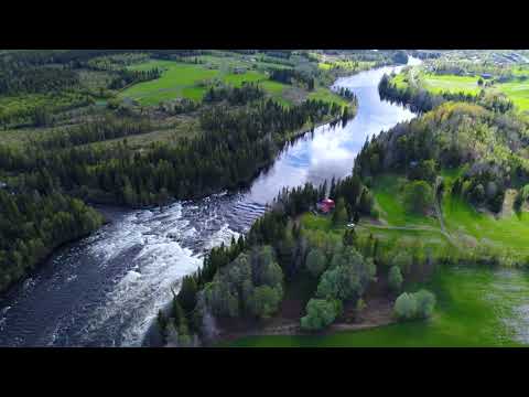 Health Water Straight From the Appalachian Mountain Spring