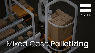 Mixed Case Palletizing | Random Palletizing | CMES Robotics