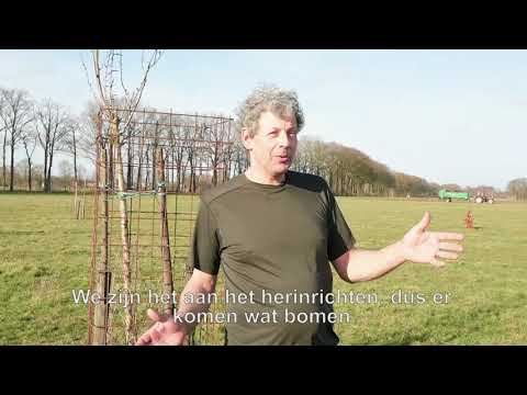 Uitleg deelproject Agroforestry