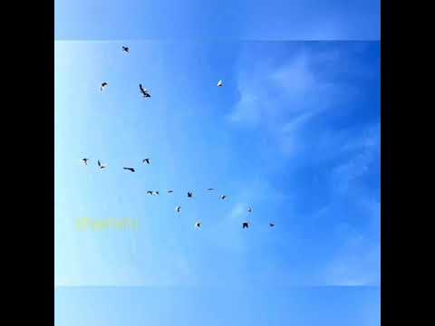 Photography by Fahmida Shammi