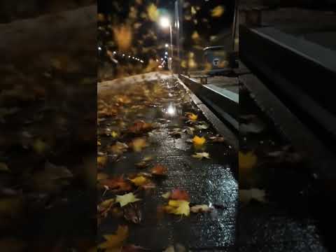 Dorchester, Massachusetts Commuter Rail - Get Back up #eminemkamikaze #hiphop #Eminem #Fall #2025