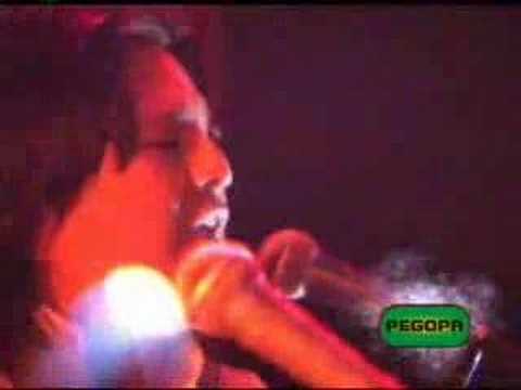 ★☆La Nueva Estrella☆★ - Destino Mio 2008