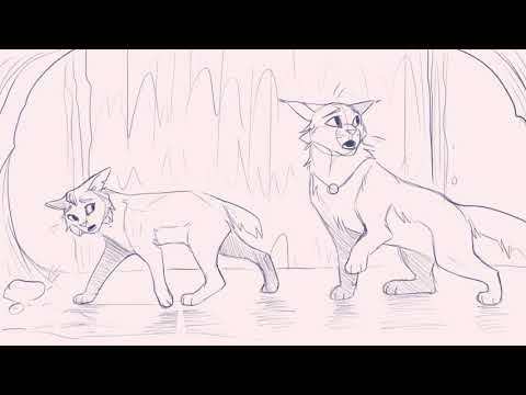 Aspen x Pride Animatic – TPT
