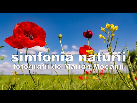 nodul fericirii și secretul viziunii perfecte