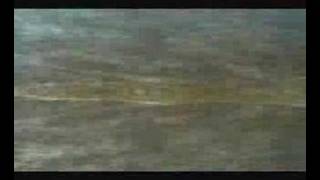 No hay reencarnacion, videopoema de Javier Robledo