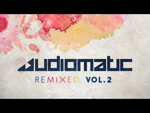 Audiomatic - Flipping Switches (Twodelic Remix) [Official Audio]