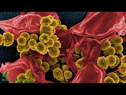 Prostata Forte Herren-Formula Bewertung Auf Marker für Prostatakrebs-Analyse