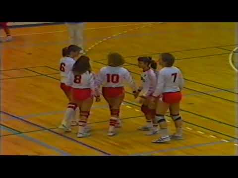 HIK Aalborg volley kvinder rykker op