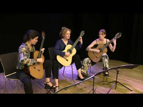 Morten Gaathaug: Fire fugleportretter, fra op. 87-bis