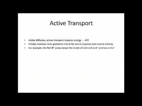 YouTube video