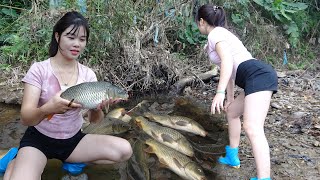 Amazing Fishing Video, Hunting Wild Fish, Survival Fishing In The Forest, Catch A Lot Of Fish