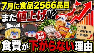 【ゆっくり解説】7月に食品2566品目が値上げ…なぜ日本の食費は下がらない？
