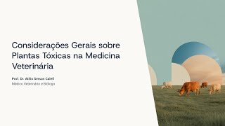 Toxic plants - General considerations #profilology #toxicology #vet