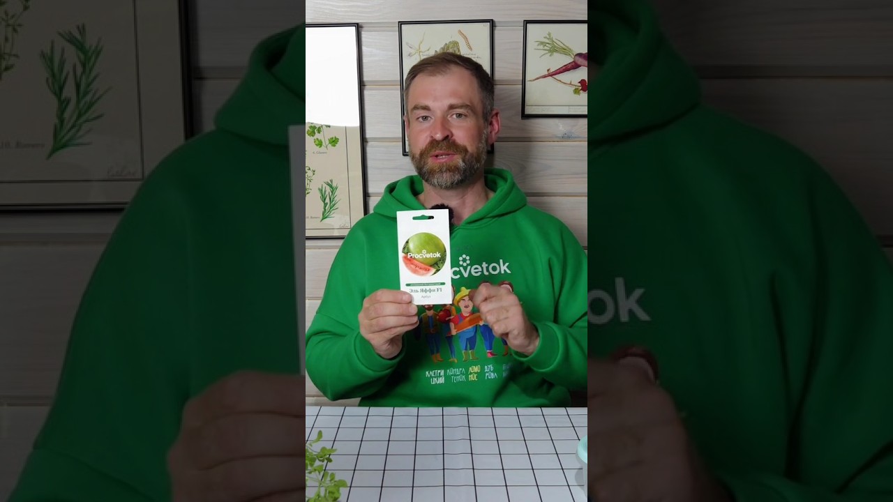 Вырастить сладкие сочные арбузы проще простого, если посеять так!