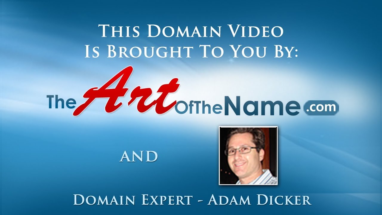 TheArtOfTheName.com - Analyze your OWN Portfolio Properly - What Domains to Keep, Drop or Develop!