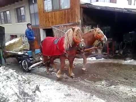 Nica de la intorsura